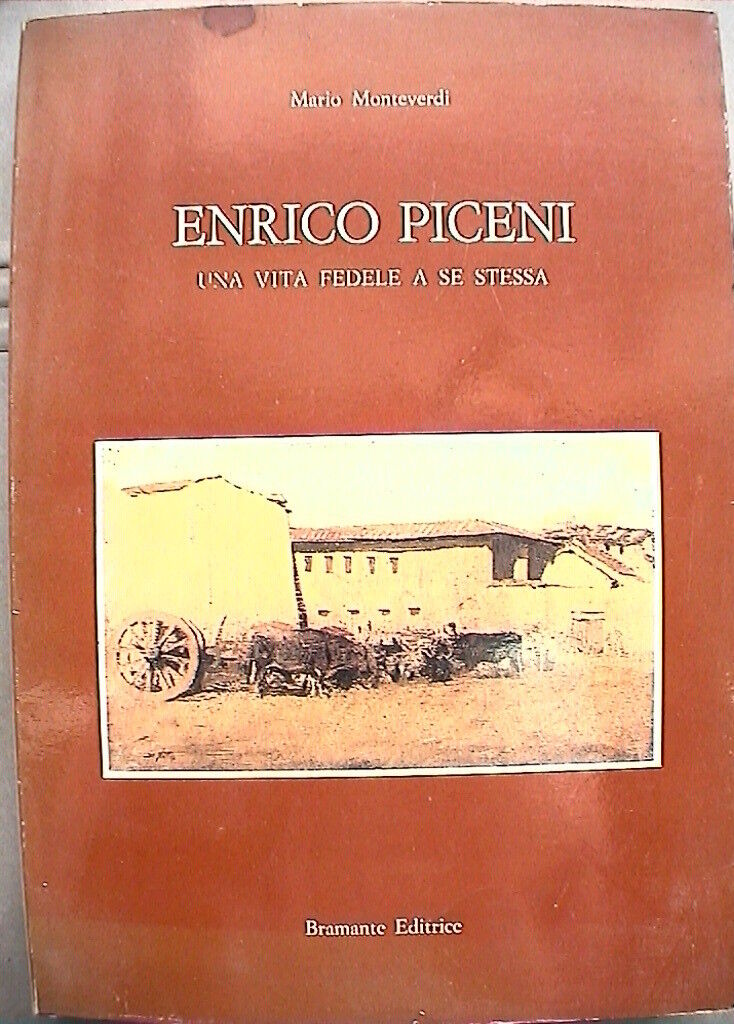 23960576