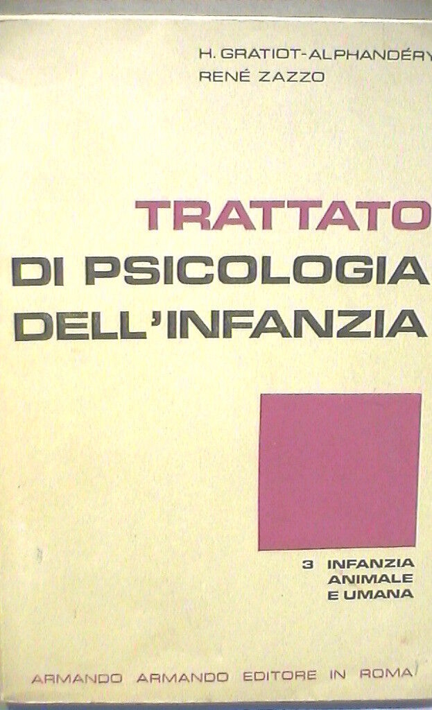 23951131