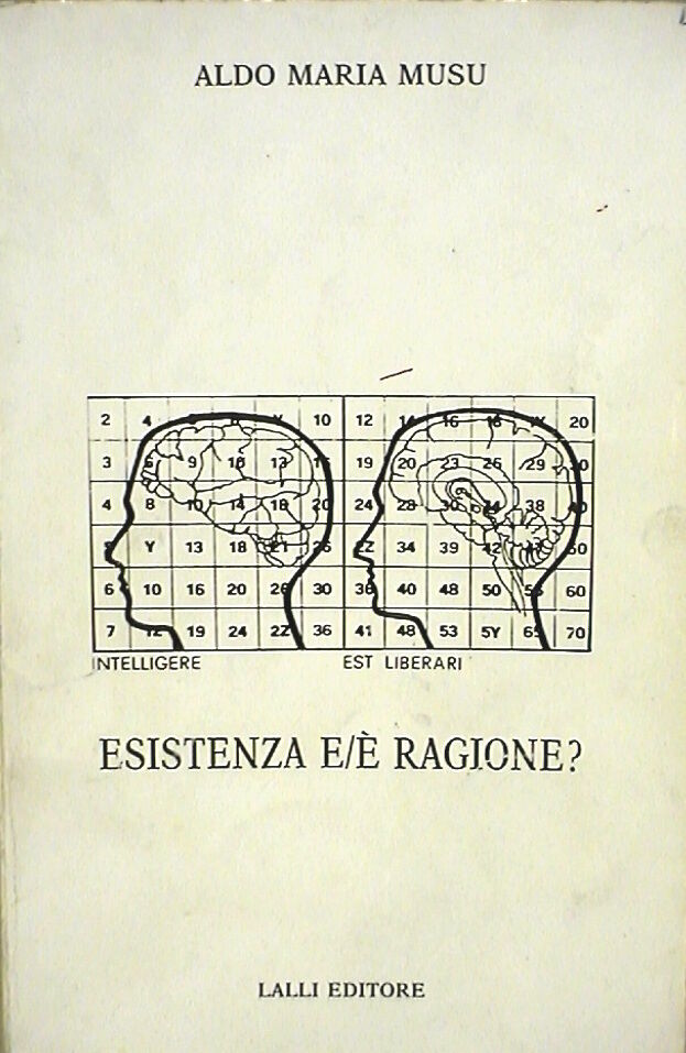 23953960