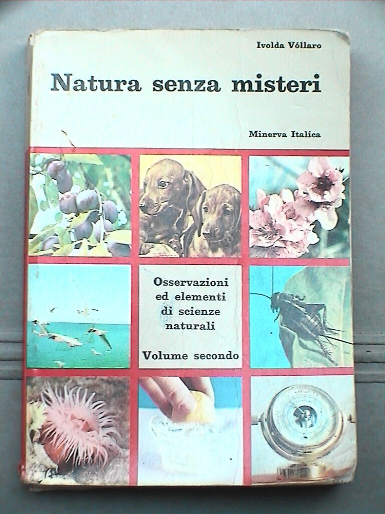 23954871