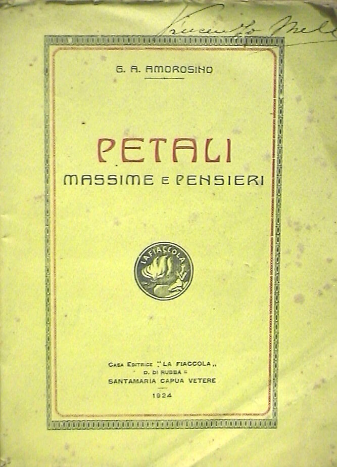 23955438