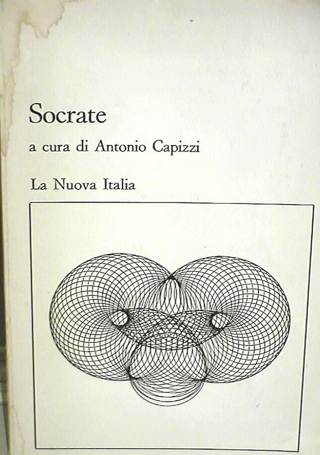 23955502