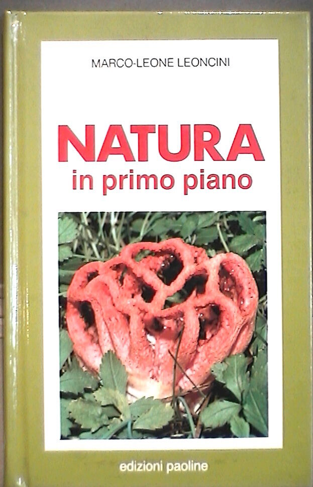 23958452