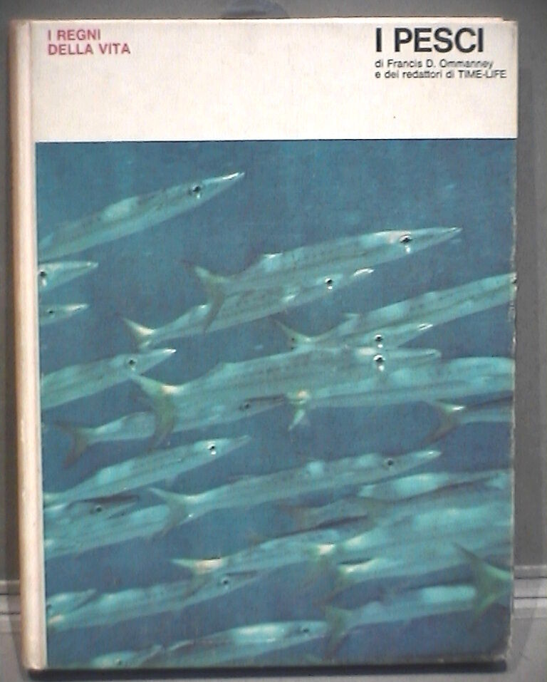 23959037