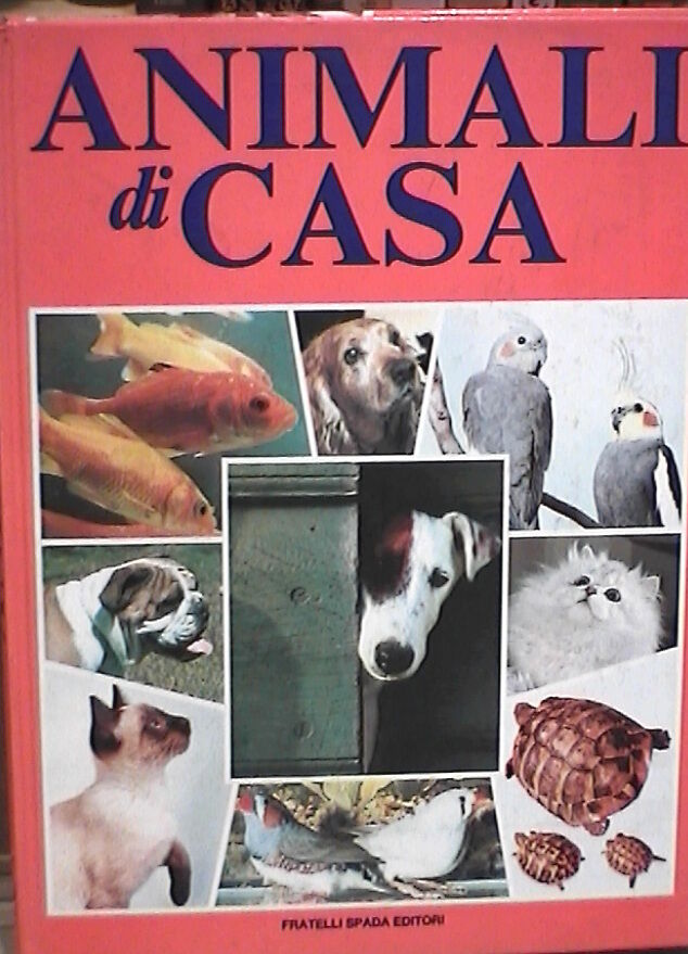 23959308