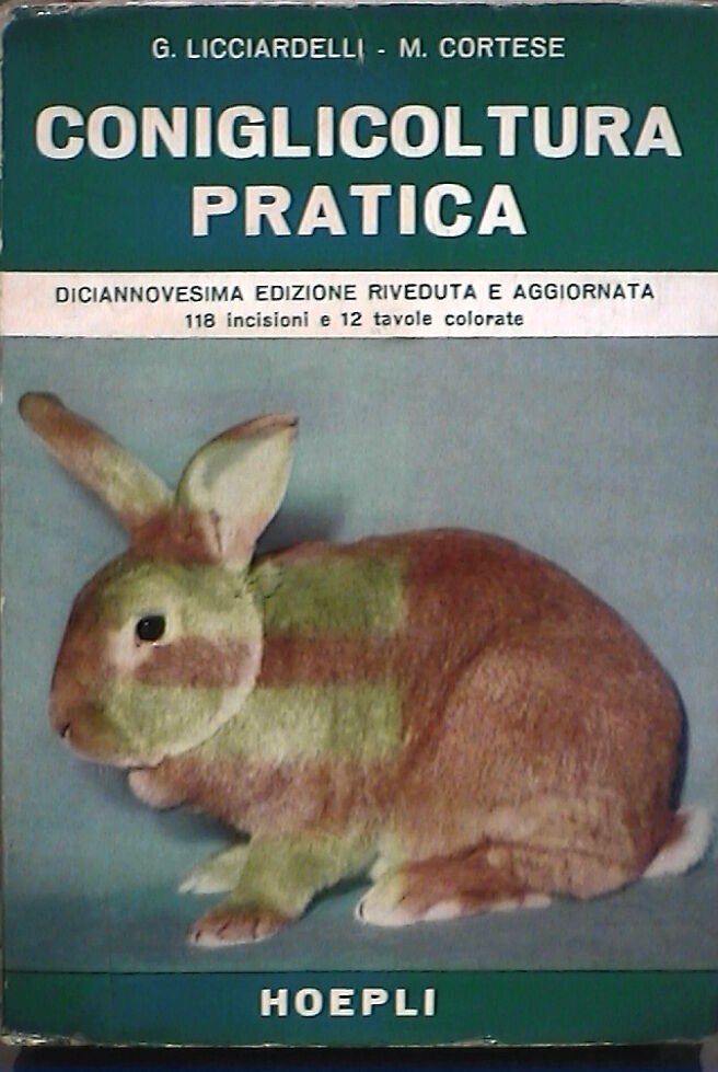 23959400