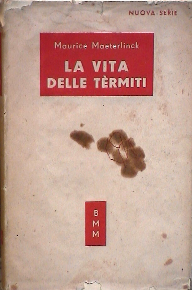 23959805