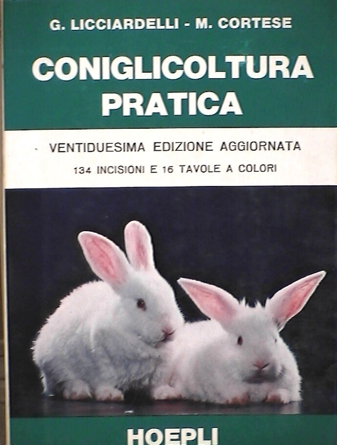 23960079