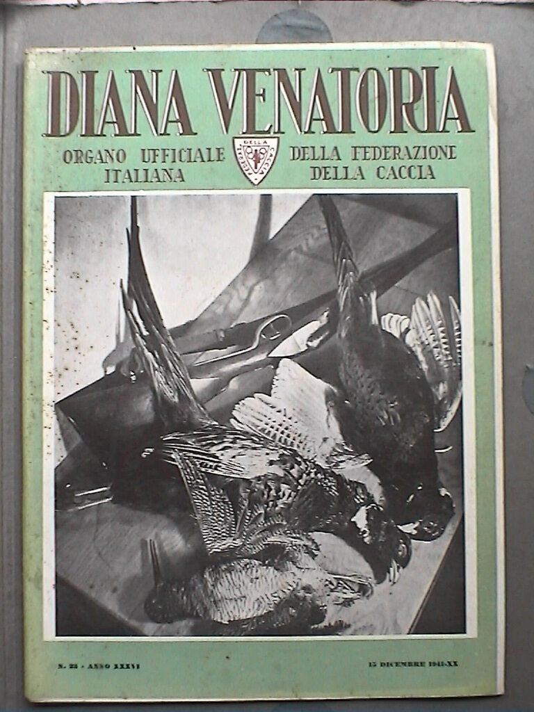 23960497