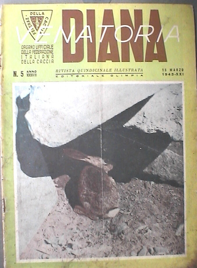 23961146