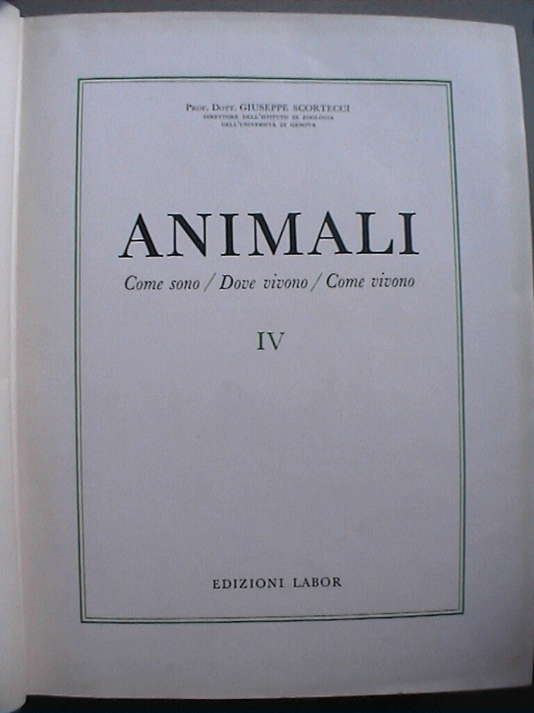 23961605