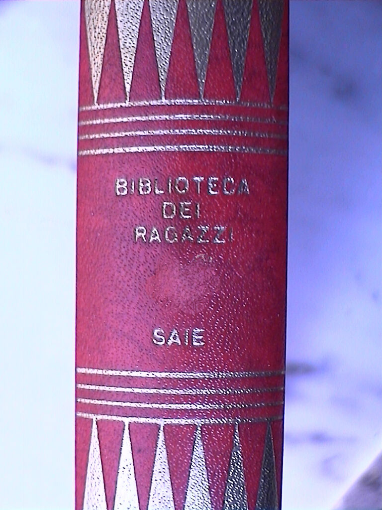23968534