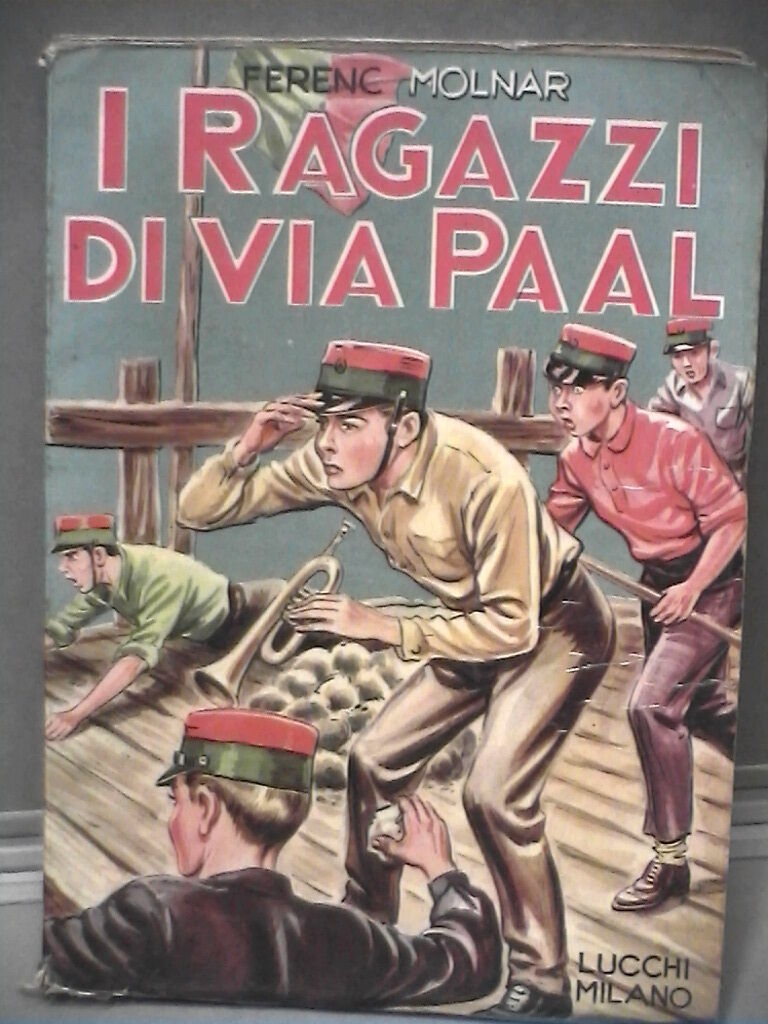 23975637