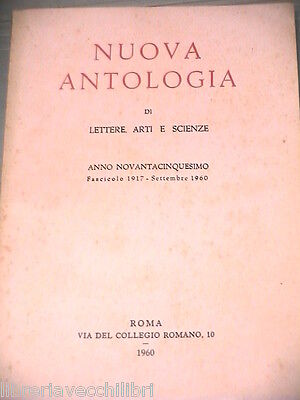 23953257