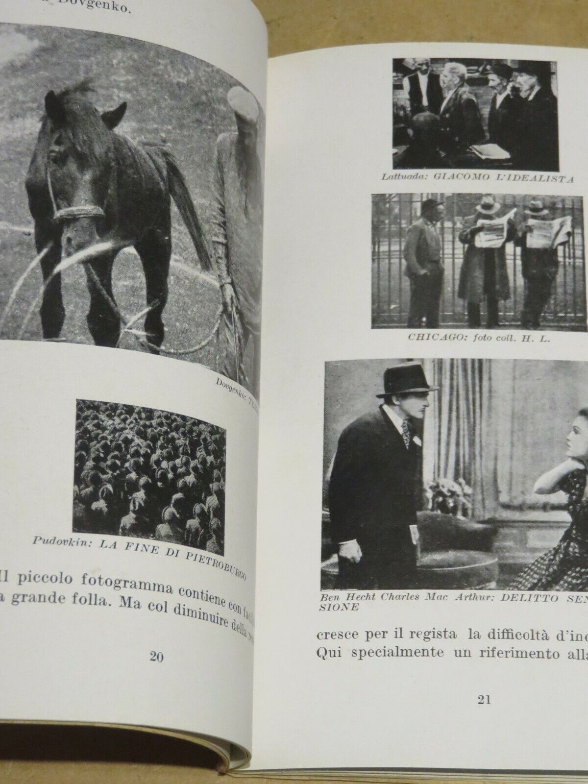 23959164