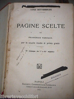 23967286