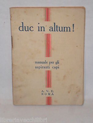 23986539