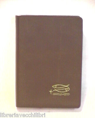 23988004