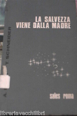 23995153