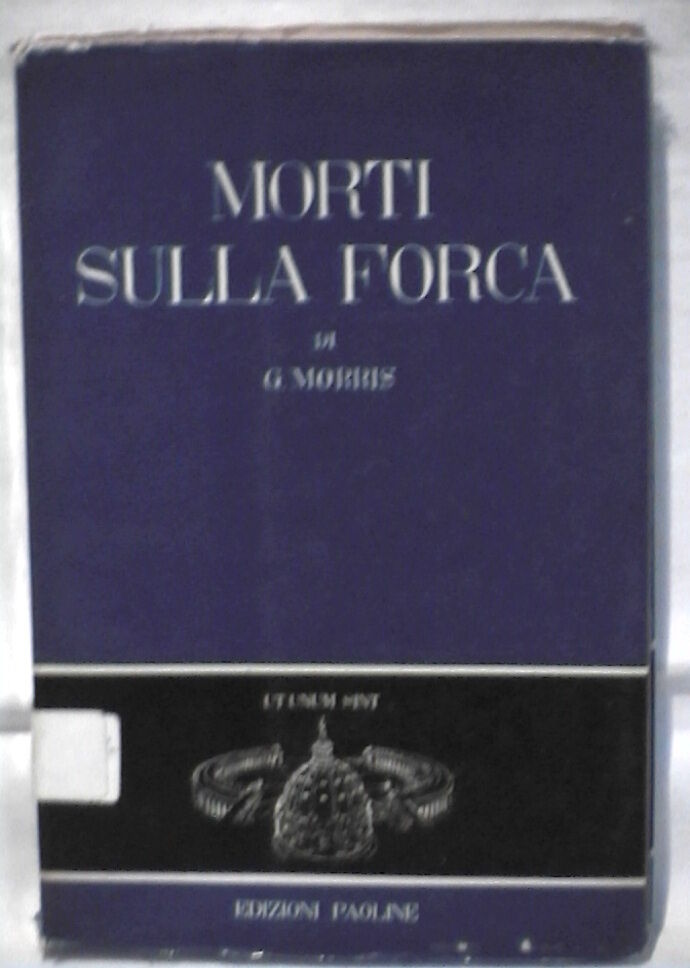 23995402