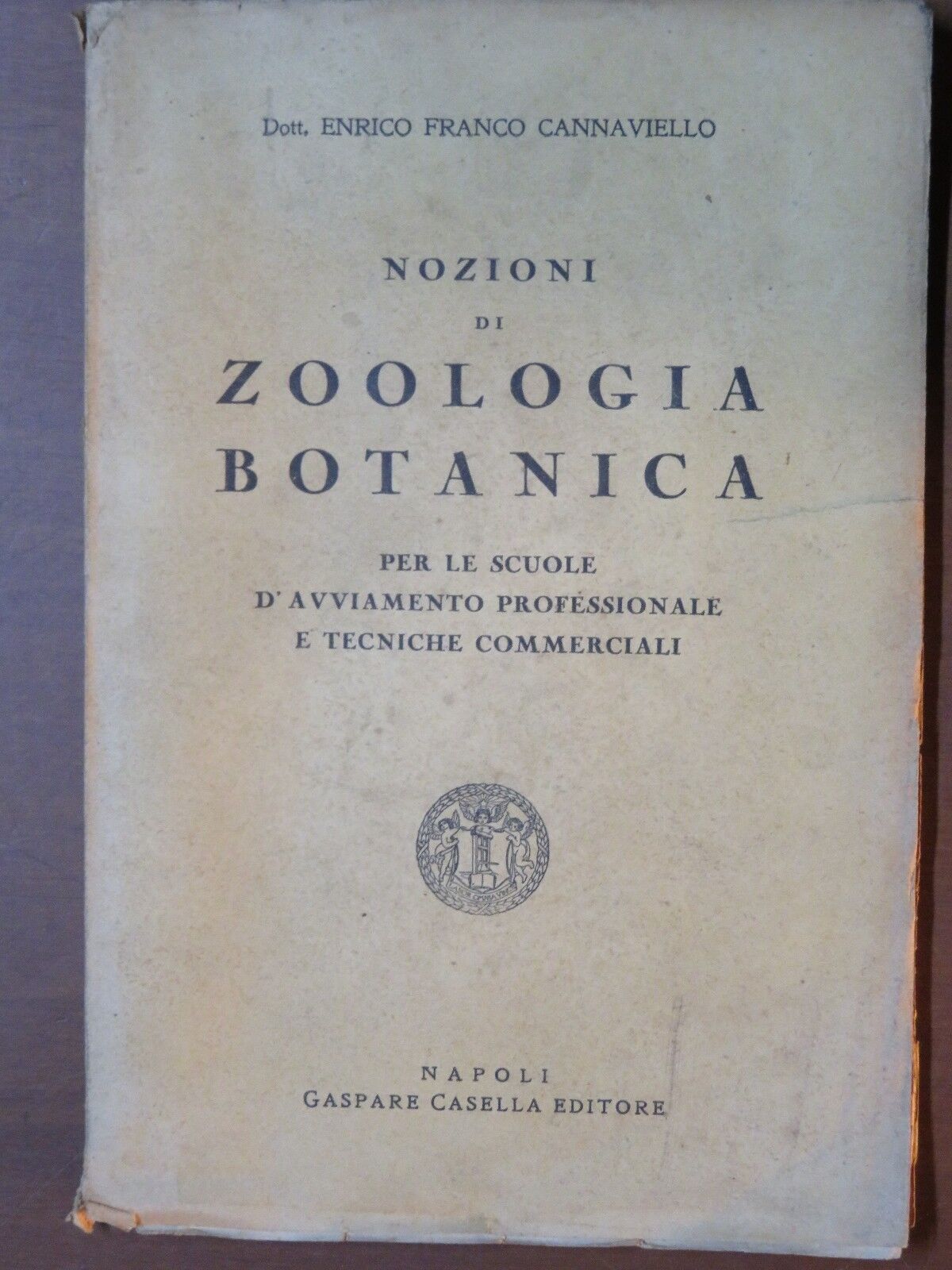 23997651