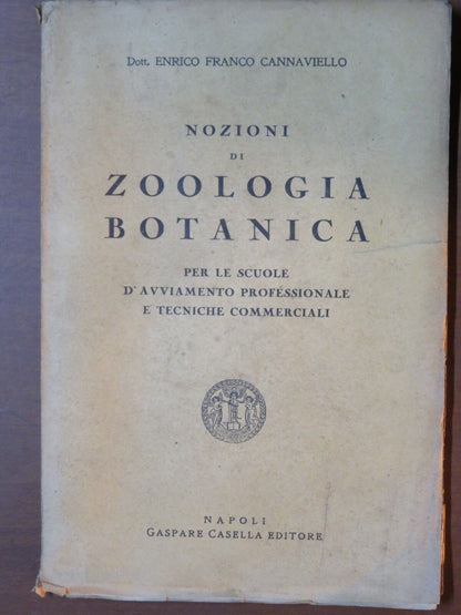 23997651