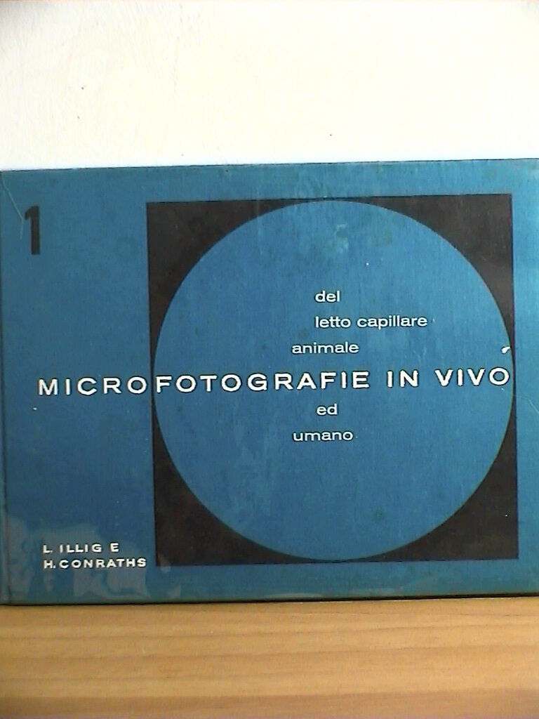 25383856