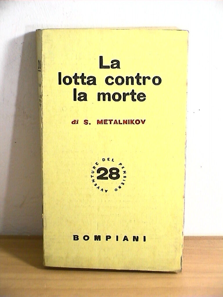 25384063