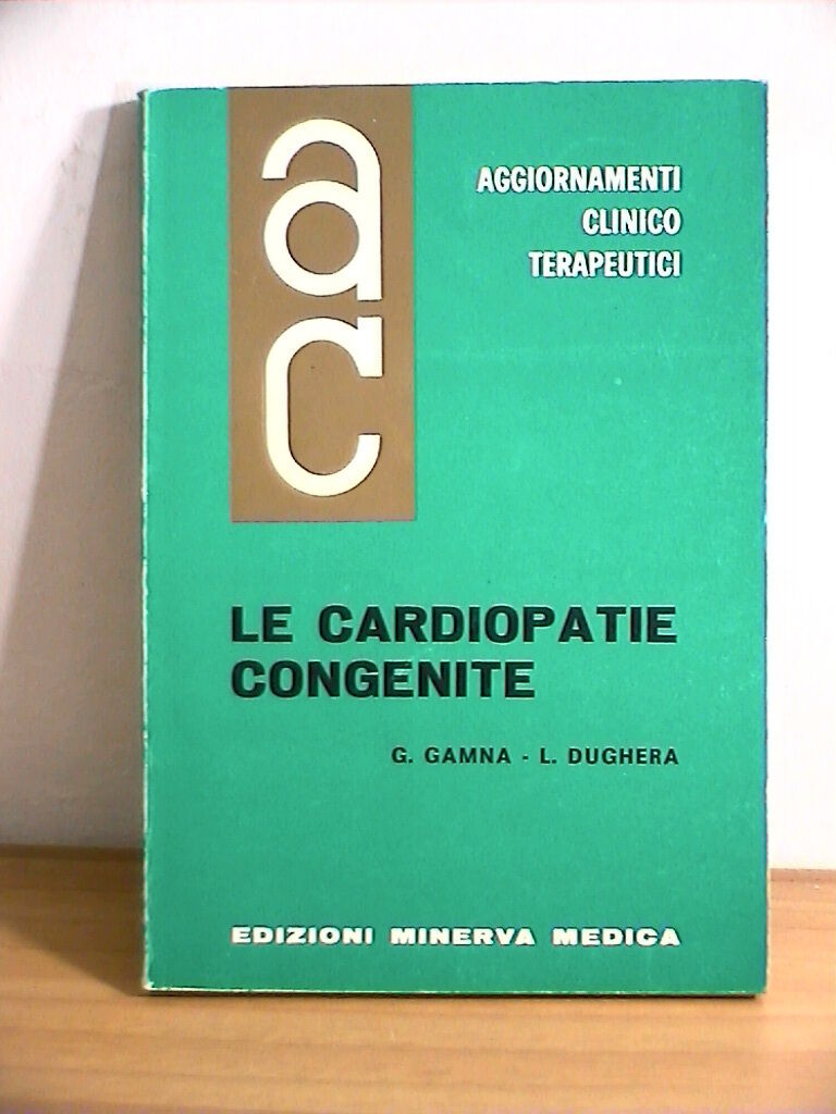 25384131