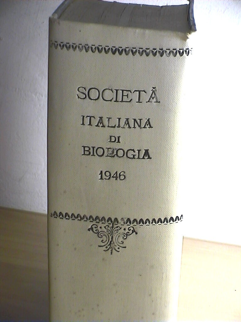 24927499