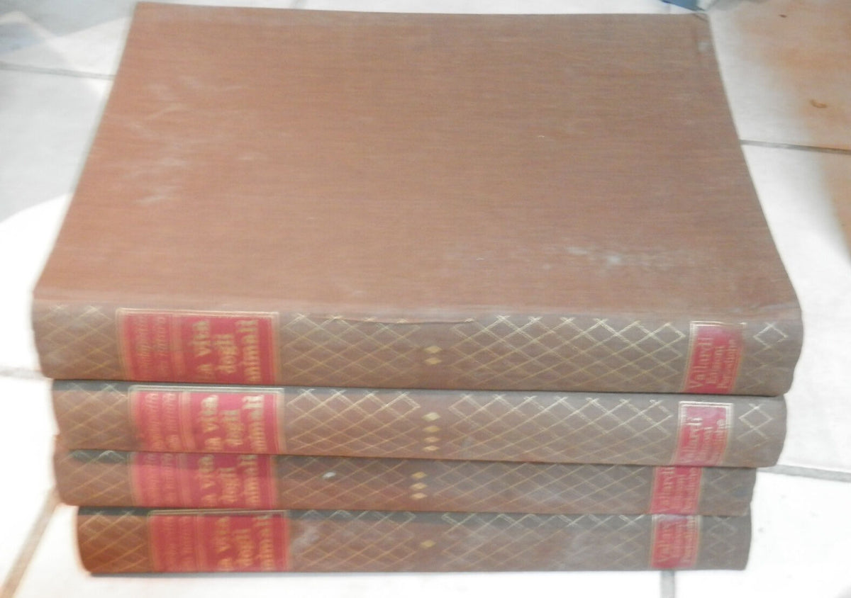 24914898