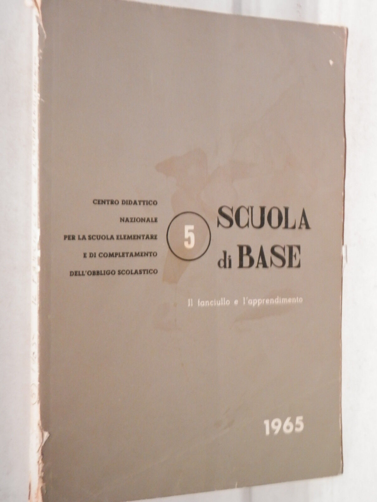 24852006