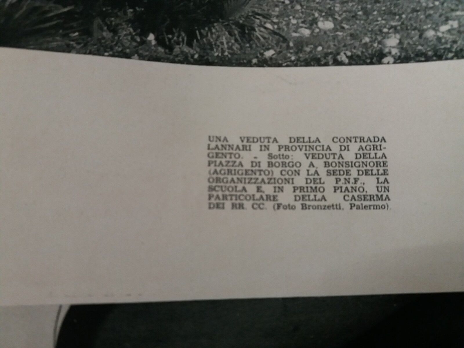 24865401