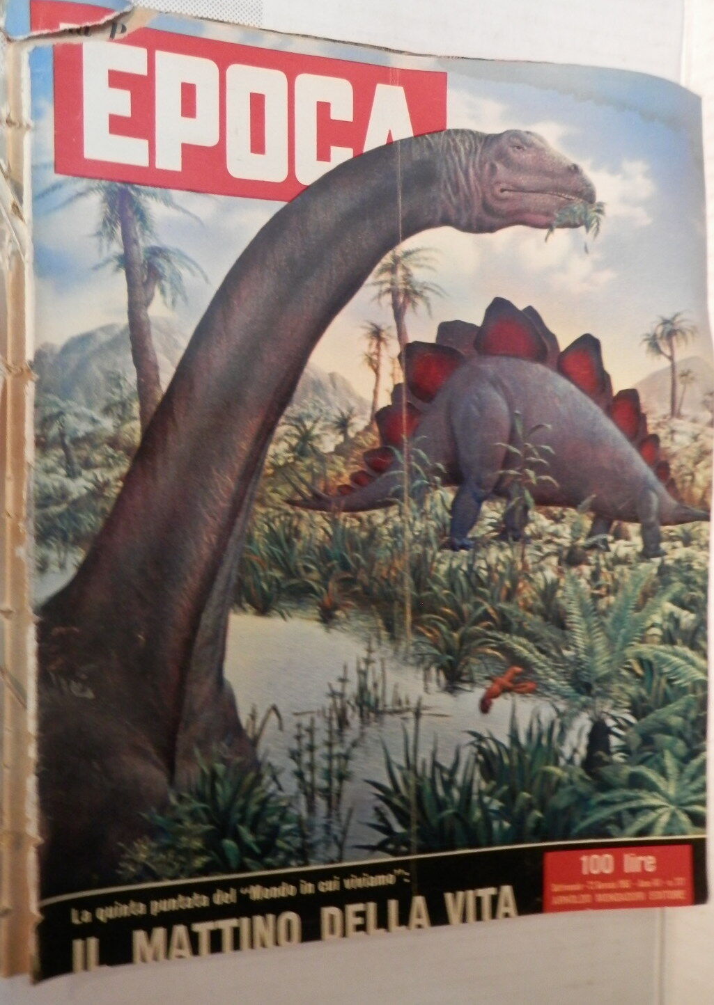 24832524