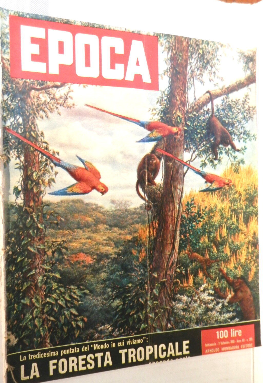24832586