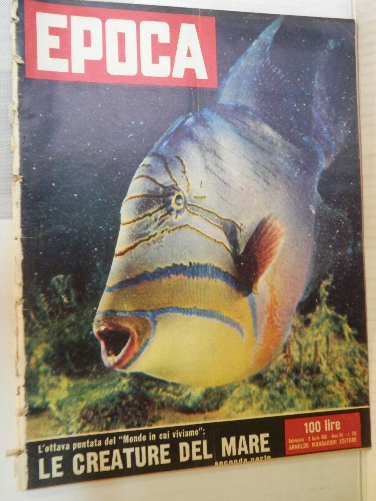 24832598