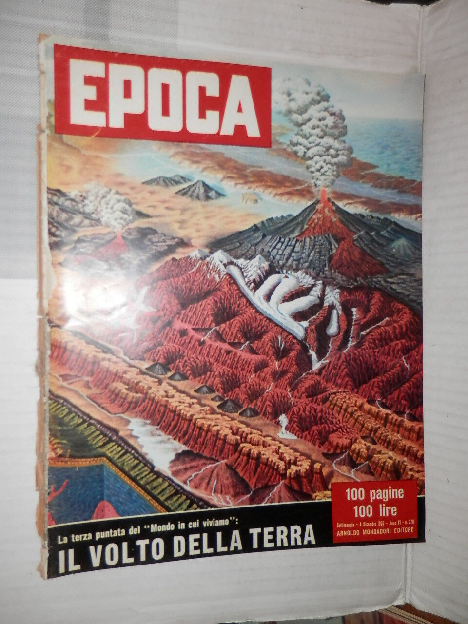 24013805