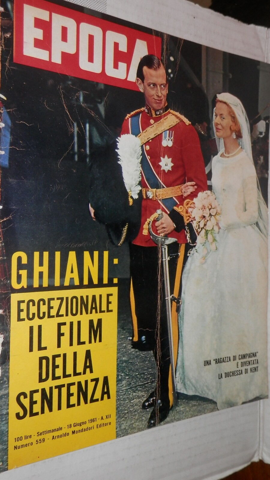 25253647