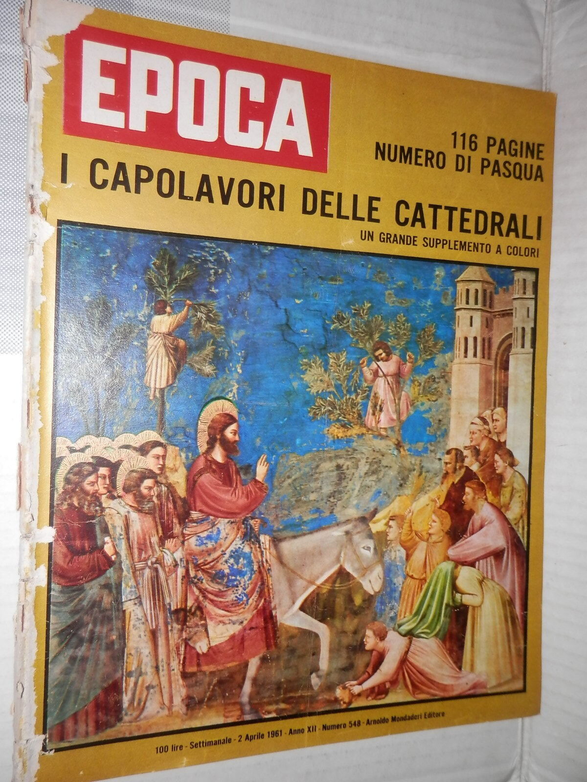 25253650