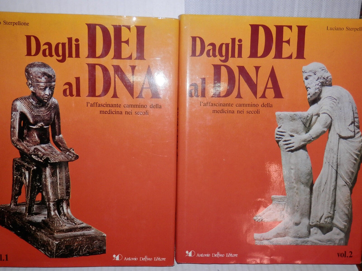 25253771