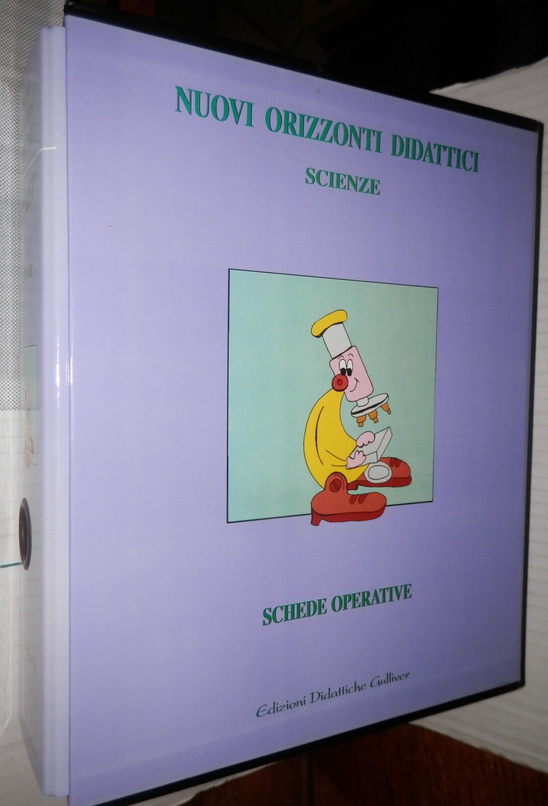 25254174