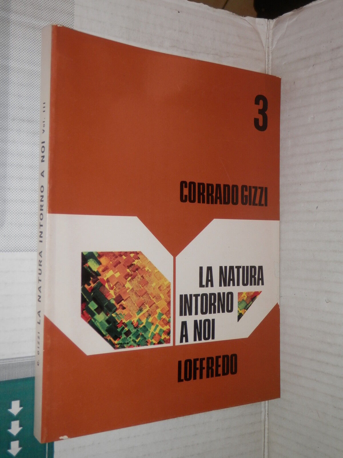 25254230