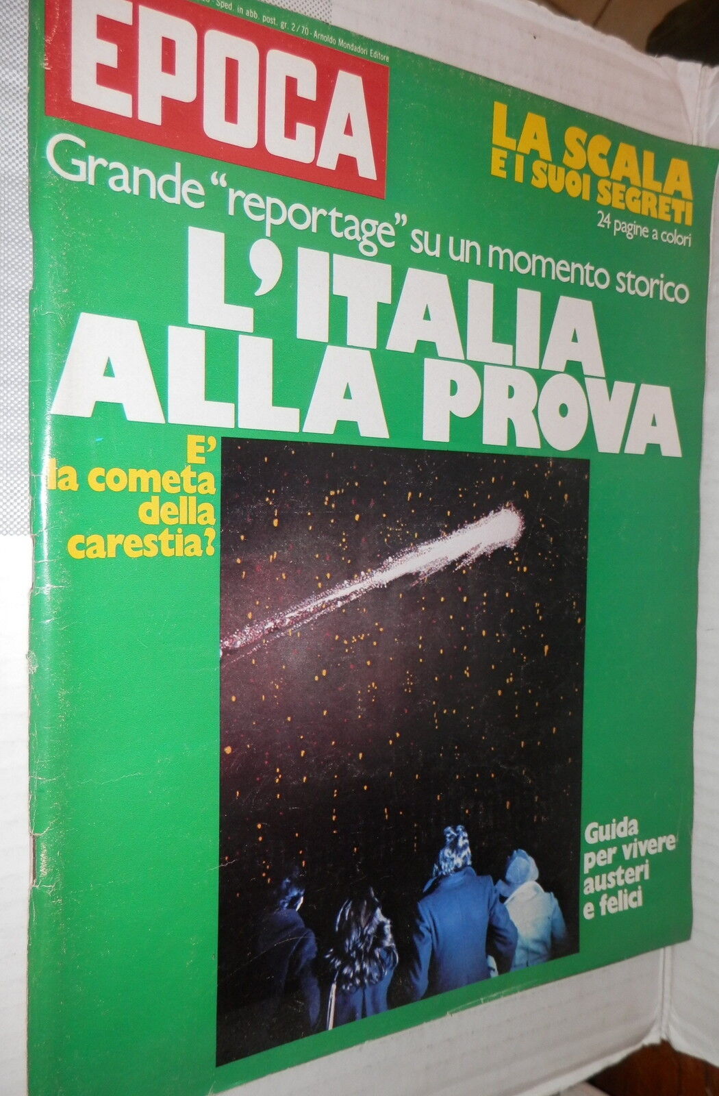 25254446