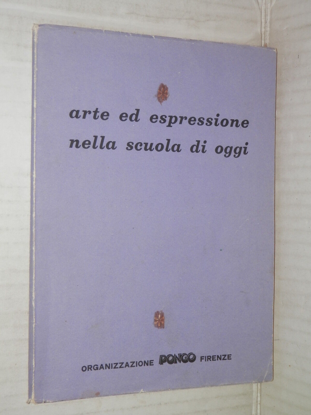 25254539