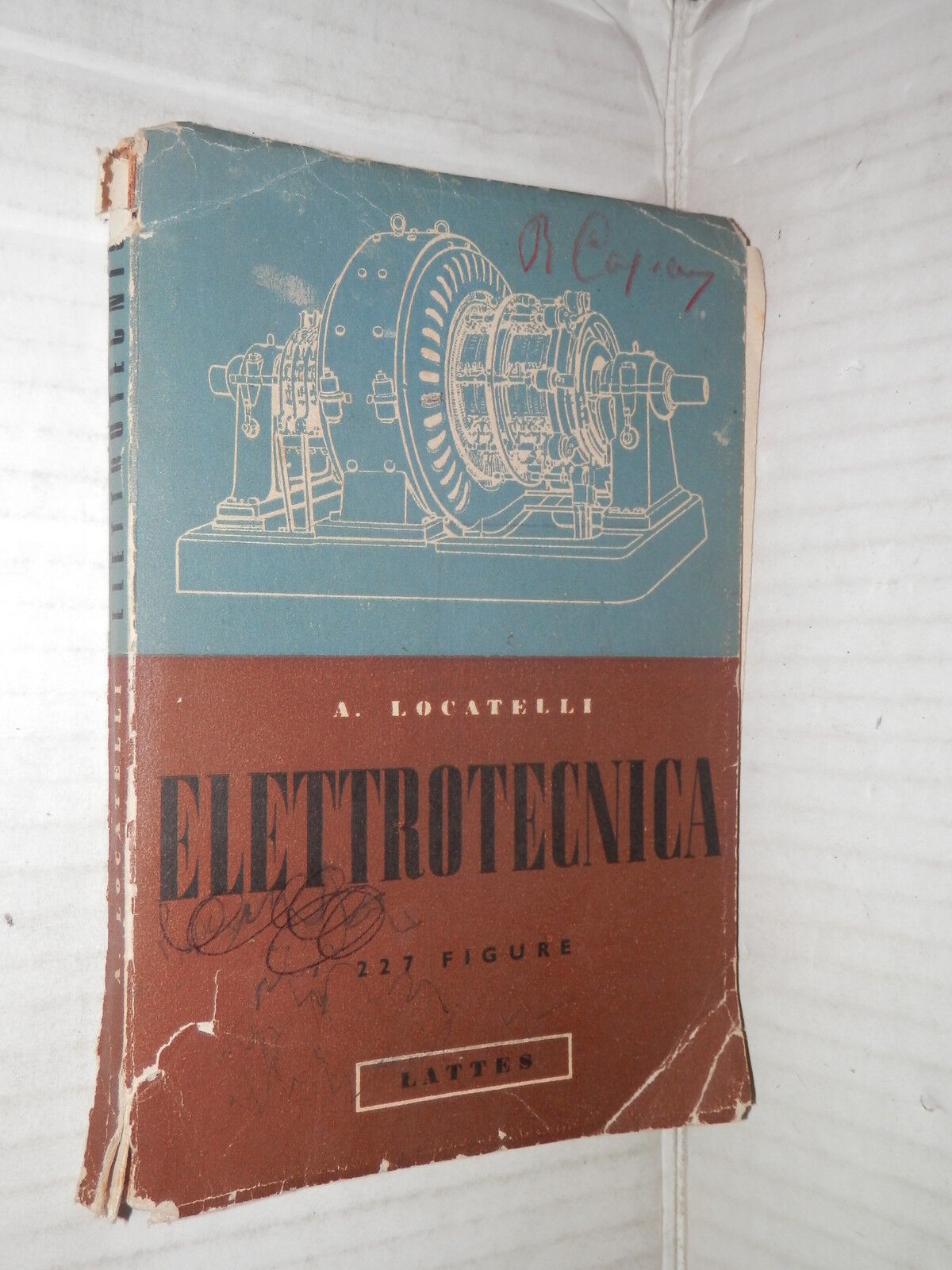 25254571