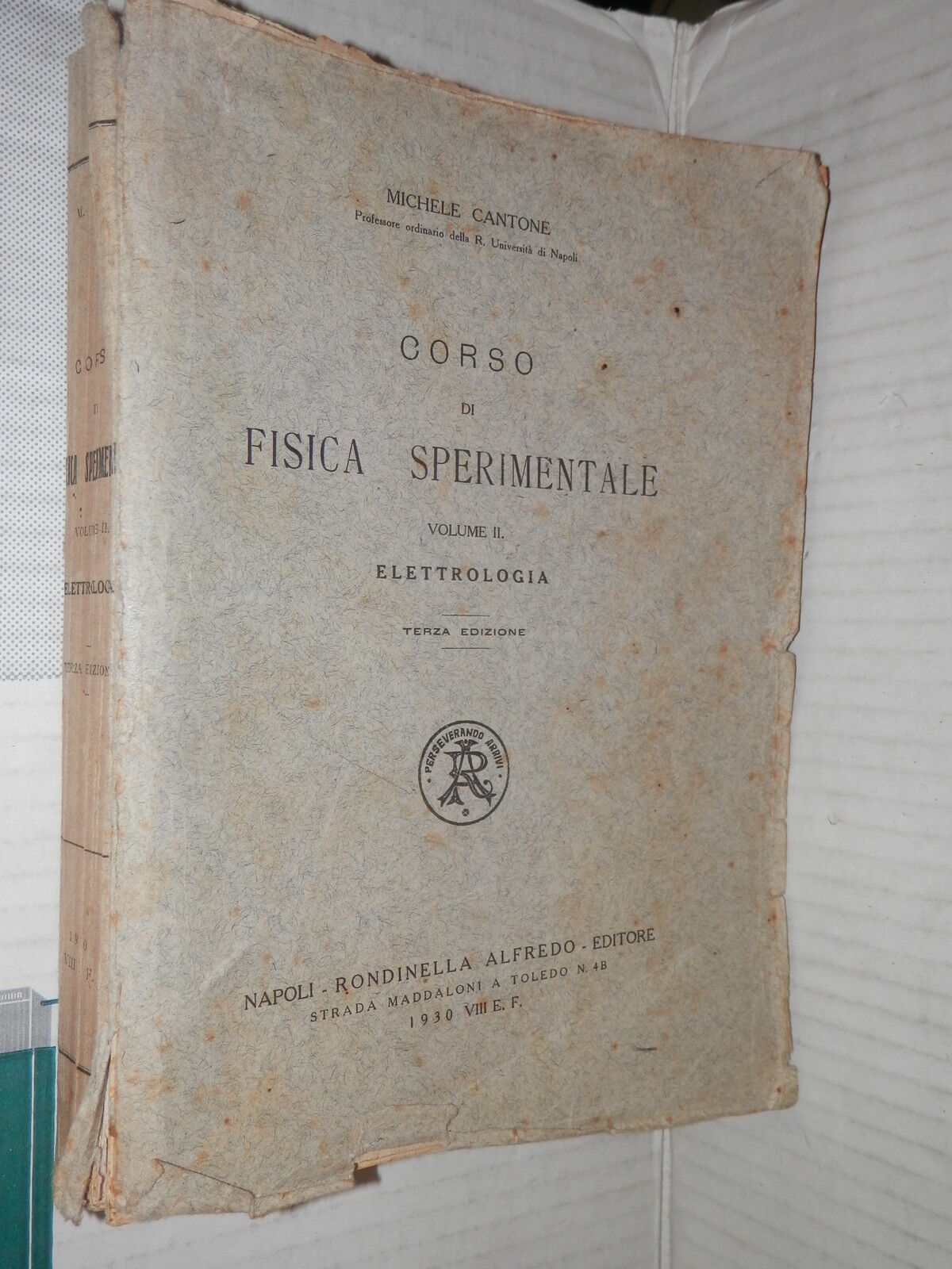 25254573
