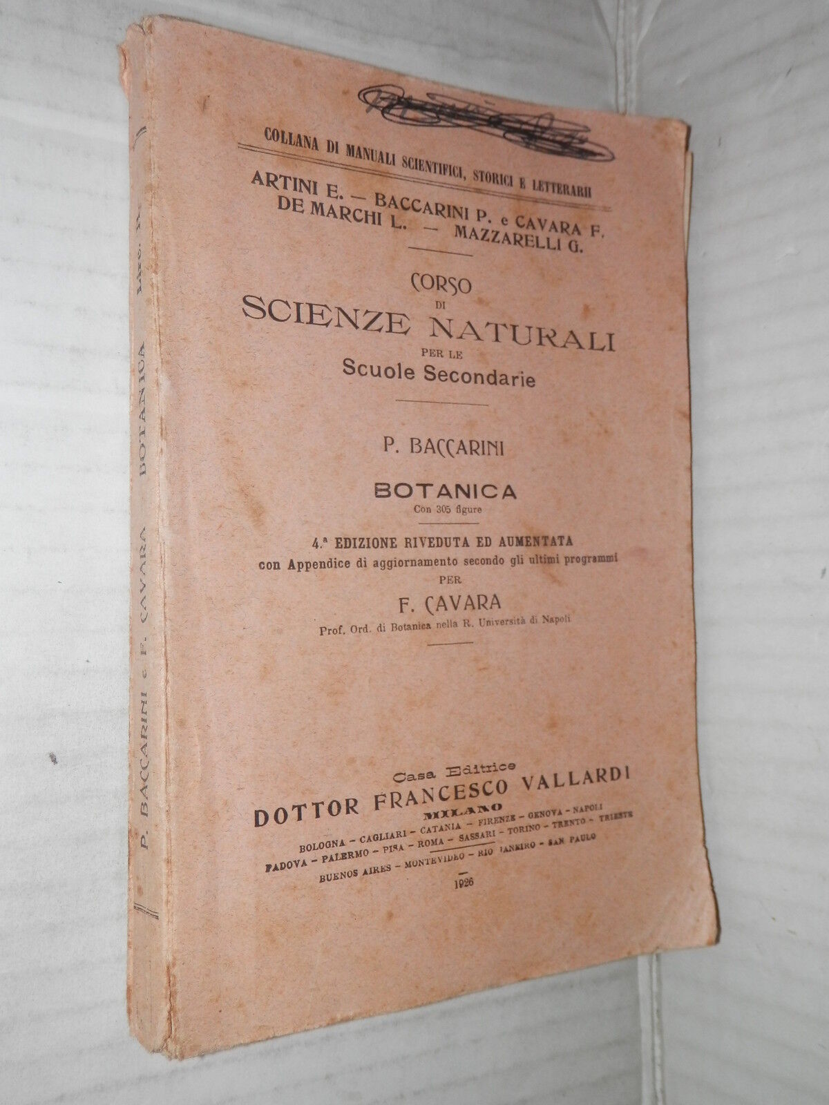 25254574