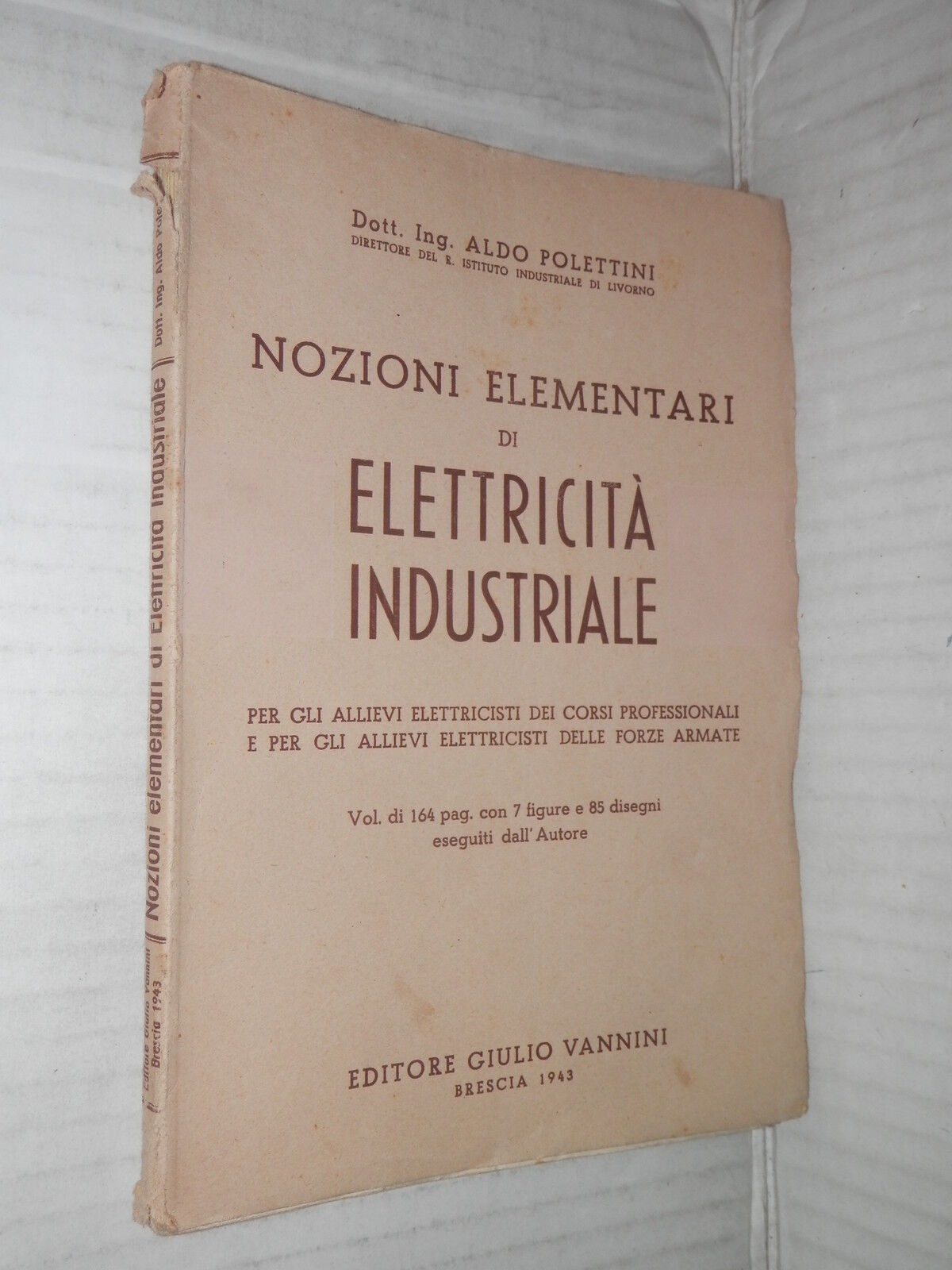 25254606