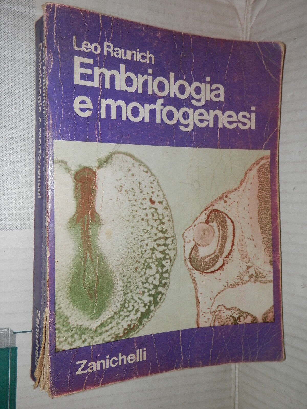 24109456
