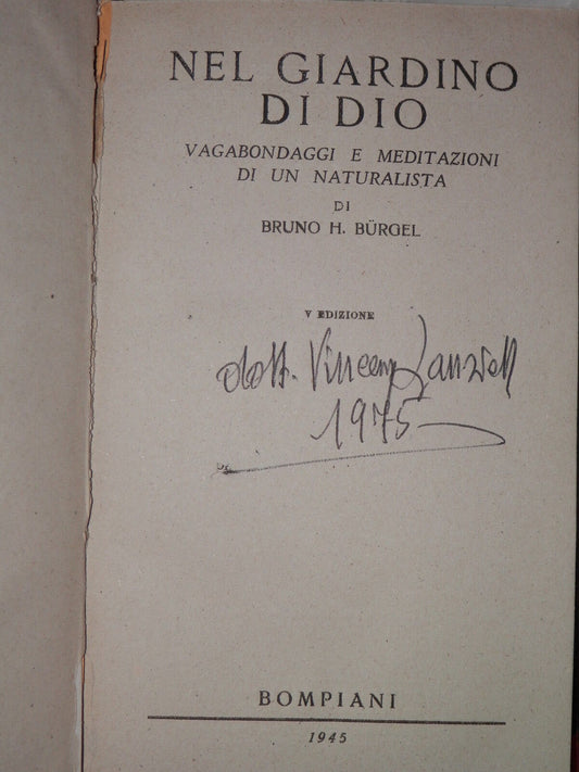 24087503